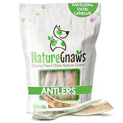 Nature gnaws antlers for sale  Delivered anywhere in USA 