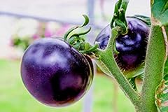 Purple blue indigo for sale  Delivered anywhere in USA 