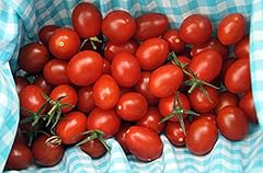 Moby grape tomato for sale  Delivered anywhere in USA 