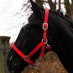 Pferdelinis halfter warmblut gebraucht kaufen  Wird an jeden Ort in Deutschland