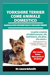 Yorkshire terrier come usato  Spedito ovunque in Italia 