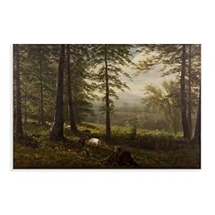 Duyigcr view clearing for sale  Delivered anywhere in USA 