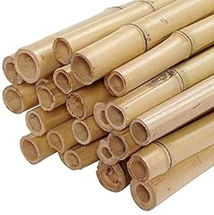 bamboo cane thick for sale  Delivered anywhere in UK