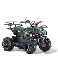 Kxd atv 1000w gebraucht kaufen  Wird an jeden Ort in Deutschland