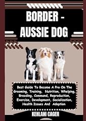 Border aussie dog for sale  Delivered anywhere in USA 