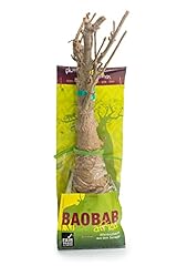 Végétaux ailleurs baobab gebraucht kaufen  Wird an jeden Ort in Deutschland