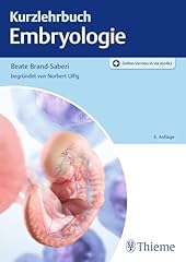 Kurzlehrbuch embryologie gebraucht kaufen  Wird an jeden Ort in Deutschland