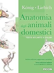 Anatomia degli animali usato  Spedito ovunque in Italia 