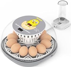 Apdoe egg incubator for sale  Delivered anywhere in USA 