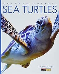 Sea turtles for sale  Delivered anywhere in USA 