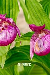 Cypripedium notebook blank for sale  Delivered anywhere in Ireland