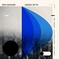 Trio grande urban usato  Spedito ovunque in Italia 