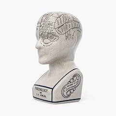 Acl phrenology head for sale  Delivered anywhere in Ireland