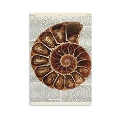 Nautilus print nautilus for sale  Delivered anywhere in UK