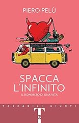 Spacca infinito romanzo usato  Spedito ovunque in Italia 