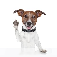 2pcs jack russell for sale  Delivered anywhere in USA 
