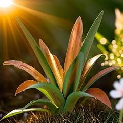 Uxbdgmto metal agave for sale  Delivered anywhere in USA 