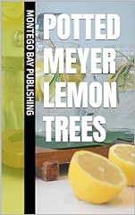 Potted meyer lemon for sale  Delivered anywhere in USA 