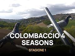Colombaccio seasons usato  Spedito ovunque in Italia 