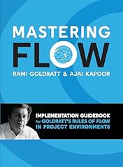 Mastering flow implementation gebraucht kaufen  Wird an jeden Ort in Deutschland