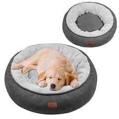 Evcgox lit chien d'occasion  Livré partout en Belgiqu