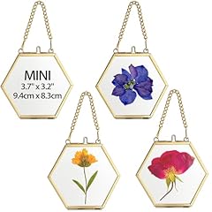 Juxyes set hexagon for sale  Delivered anywhere in USA 