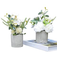 Aiouclay 2pcs small for sale  Delivered anywhere in USA 