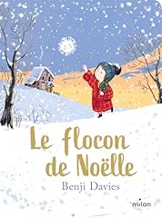 Flocon noëlle carton d'occasion  Livré partout en France