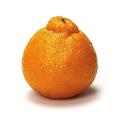 Dekopon mandarin for sale  Delivered anywhere in USA 