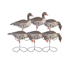 Avery ghg pro for sale  Delivered anywhere in USA 