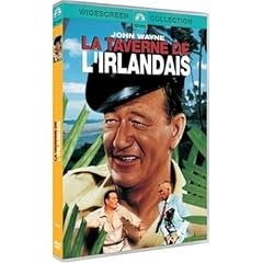 Taverne irlandais d'occasion  Livré partout en Belgiqu