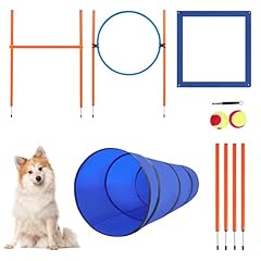 Dog agility training for sale  Delivered anywhere in USA 