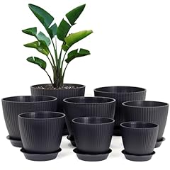 Homeuouz packs blumentopf gebraucht kaufen  Wird an jeden Ort in Deutschland