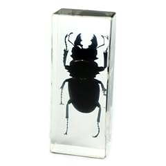 Realbug black stag for sale  Delivered anywhere in USA 