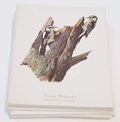 Ray harm notes for sale  Delivered anywhere in USA 