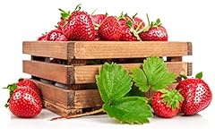Mara des bois for sale  Delivered anywhere in USA 