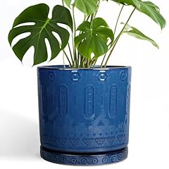 Eightpot inch plant for sale  Delivered anywhere in USA 