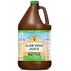 Lily desert aloe for sale  Delivered anywhere in USA 