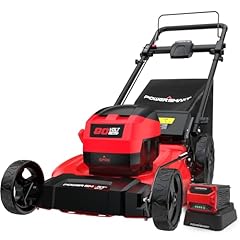 Powersmart 80v brushless for sale  Delivered anywhere in USA 