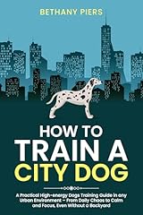 How train city usato  Spedito ovunque in Italia 