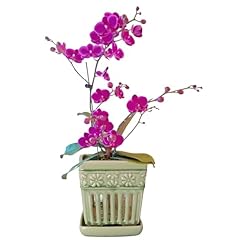 Suaden orchid pots for sale  Delivered anywhere in USA 