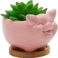 Succulent pots cute for sale  Delivered anywhere in UK