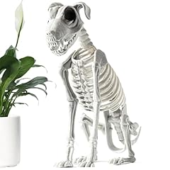 Halloween skeletthund hallowee gebraucht kaufen  Wird an jeden Ort in Deutschland