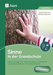 Sinne grundschule kopiervorlag gebraucht kaufen  Wird an jeden Ort in Deutschland