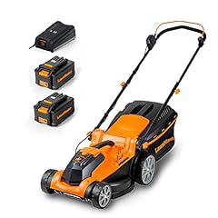 Lawnmaster clmf2437g tondeuse d'occasion  Livré partout en France