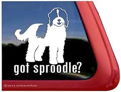 Love sproodle springer for sale  Delivered anywhere in USA 