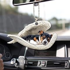 Talataca rat terrier for sale  Delivered anywhere in USA 