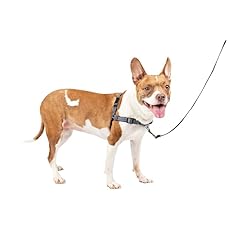Petsafe easy walk for sale  Delivered anywhere in USA 