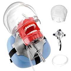 Usa dental manikin for sale  Delivered anywhere in USA 