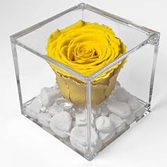 Premiumrose cube rose d'occasion  Livré partout en France